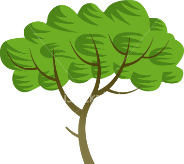 dates tree cartoon. healthy trees and shrubs.