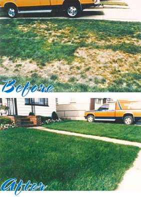 Seasonal Lawn Care Programs