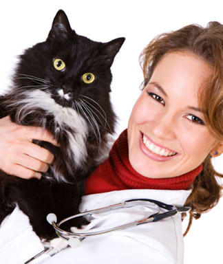 Pet Care Services