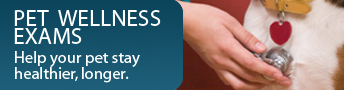 Pet Wellness Exams