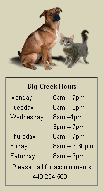 Pet Veterinary Care